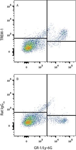 Mouse TREM-1 Alexa Fluor 488-conjugated Antibody, R D Systems 100 &mu;g;