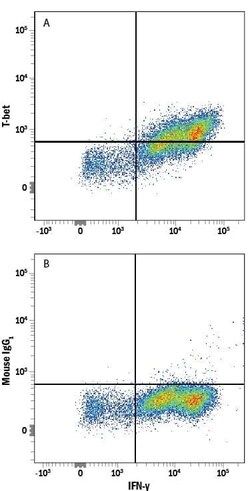 Human T-bet/TBX21 Alexa Fluor 488-conjugated Antibody, R D Systems 100 &mu;g | Buy Online | R&D Systems | Fisher Scientific