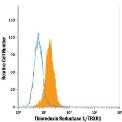 Human/Mouse/Rat Thioredoxin Reductase 1/TRXR1 Alexa Fluor 488-conjugated