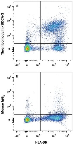 Human Thrombomodulin/BDCA-3 Antibody, R D Systems 100ug; Unlabeled:Antibodies,