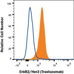 Anti- Trastuzumab (Anti-Idiotype) Antibody, R D Systems 25&mu;g:Antikroppar