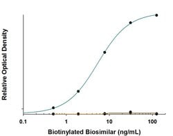 Anti-Trastuzumab (Anti-Idiotype) Antibody, R D Systems 25 &mu;g | Buy Online | R&D Systems | Fisher Scientific