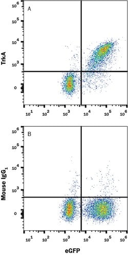Human TrkA Antibody, R D Systems 25 &mu;g | Buy Online | R&D Systems | Fisher Scientific