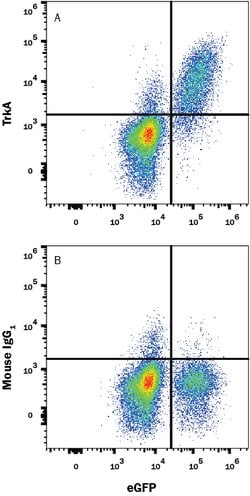 Human TrkA APC-conjugated Antibody, R D Systems 100 Tests; Allophycocyanin:Antibodies,