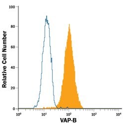 Human VAP-B Alexa Fluor 488-conjugated Antibody, R D Systems 100 &mu;g | Buy Online | R&D Systems | Fisher Scientific