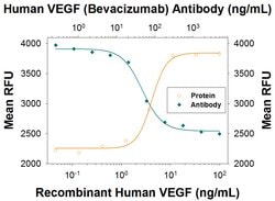Human VEGF (Research Grade Bevacizumab Biosimilar) Antibody, R D Systems