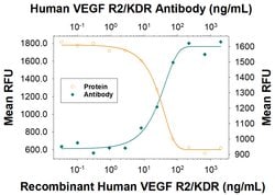 Human VEGFR2/KDR/Flk-1 Antibody, R D Systems 100 ug; Unconjugated:Antibodies,