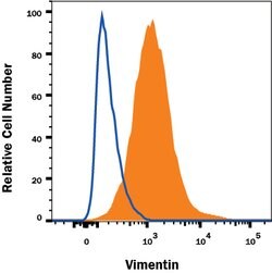 Human/Mouse/Rat Vimentin Antibody, R D Systems 25 &mu;g | Buy Online | R&D Systems | Fisher Scientific