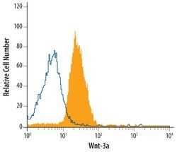 Human/Mouse Wnt-3a Antibody, R D Systems 25&mu;g; Unlabeled:Antibodies,