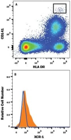 Human XCR1 Alexa Fluor 488-conjugated Antibody, R D Systems 100 &mu;g;