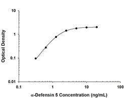 Human alpha-Defensin 5 Antibody, R D Systems:Antibodies:Primary Antibodies