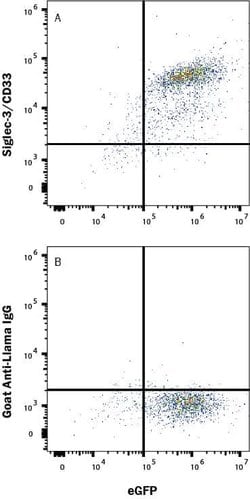 Llama IgG APC-conjugated Antibody, R&D Systems™
