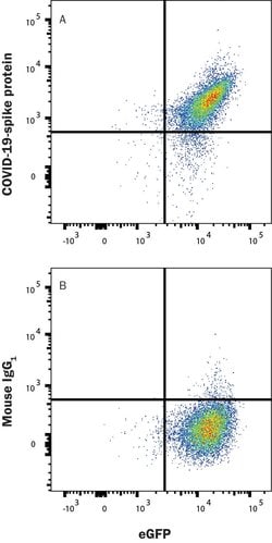 SARS-CoV-2 Spike S1 Subunit Alexa Fluor 647-conjugated Antibody, R D Systems