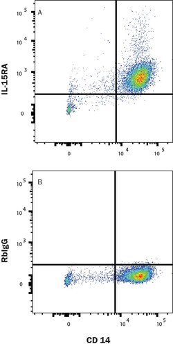 Human IL-15R alpha Alexa Fluor 488-conjugated Antibody, R D Systems 100