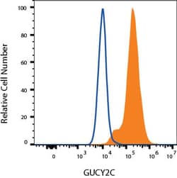 Human Guanylyl Cyclase C/GUCY2C Alexa Fluor 488-conjugated Antibody, R