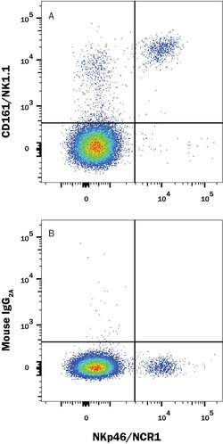 Mouse CD161/NK1.1 APC-conjugated Antibody, R D Systems 100 &mu;g; APC:Antibodies,