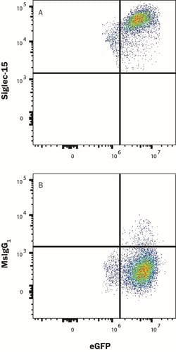 Human Siglec-15 Alexa Fluor 647-conjugated Antibody, R D Systems 100 &mu;g;