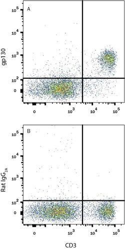 Mouse gp130 APC-conjugated Antibody, R D Systems:Antibodies:Primary Antibodies