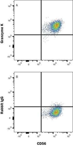 Human Granzyme K Alexa Fluor 594-conjugated Antibody, R D Systems:Antibodies:Primary