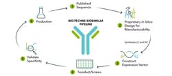 Human Proprotein Convertase 9/PCSK9 (Research Grade Alirocumab Biosimilar)