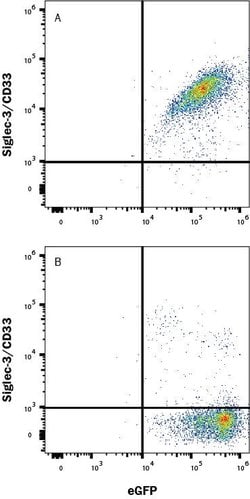 Human Siglec-3/CD33 LlamabodyTM VHH His-tag Antibody, R D Systems:Antibodies:Primary