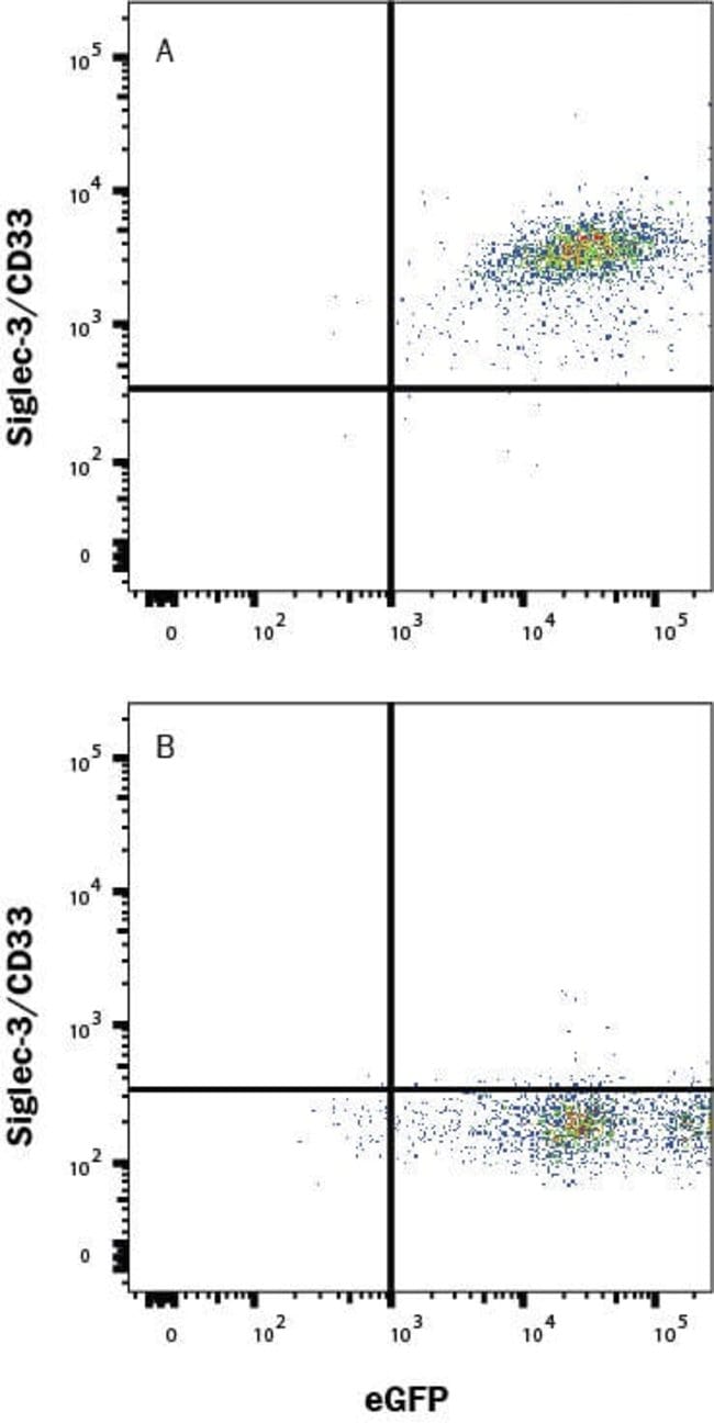 Human Siglec-3/CD33 LlaMABodyTM Bivalent VHH HuIgG2 Fusion Antibody, R ...