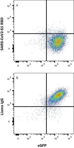 SARS-CoV-2 Spike RBD LlaMABodyTM VHH His-tag Antibody, R D Systems 25 &mu;g;