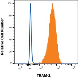 Human OLT-2/TARM1 Antibody, R D Systems 25 μg; Unconjugated:Antibodies,