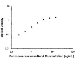 NucA nuclease Antibody, Clone: 1028917, R D Systems:Antibodies:Primary