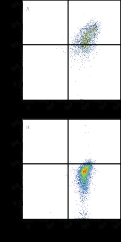 Human CLEC17A Antibody, R D Systems:Antibodies:Primary Antibodies