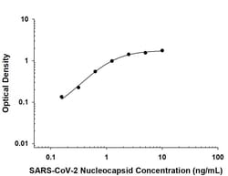 SARS-CoV-2 Nucleocapsid Antibody, R D Systems 100 &mu;g; Unconjugated:Antikörper