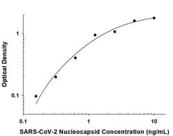 SARS-CoV-2 Nucleocapsid Antibody, R D Systems 25 &mu;g; Unconjugated:Antibodies,
