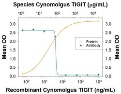 Cynomolgus Monkey TIGIT Antibody, R D Systems 100 &mu;g; Unconjugated:Antibodies,