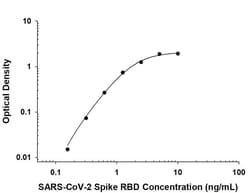 SARS-CoV-2 Spike RBD Antibody, R D Systems 25 &mu;g; Unconjugated:Antibodies,