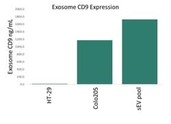 Human CD9 Antibody, R D Systems 100 &mu;g; Unconjugated:Antibodies, Monoclonal