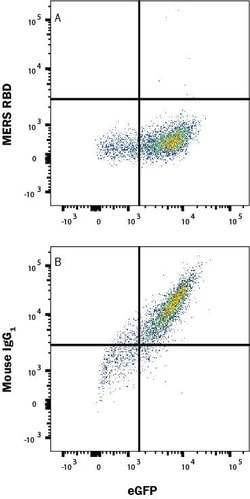 MERS-CoV Spike RBD Antibody, R D Systems:Antibodies:Primary Antibodies