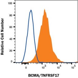 Human BCMA/TNFRSF17 Antibody, R D Systems 25 &mu;g | Buy Online | R&D Systems | Fisher Scientific