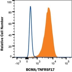 Human BCMA/TNFRSF17 Antibody, R D Systems 25 &mu;g | Buy Online | R&D Systems | Fisher Scientific