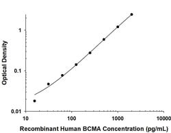 Human BCMA/TNFRSF17 Antibody, R D Systems 25 &mu;g; Unconjugated:Antibodies,