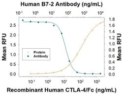 Human B7-2/CD86 Antibody, R D Systems:Antibodies:Primary Antibodies
