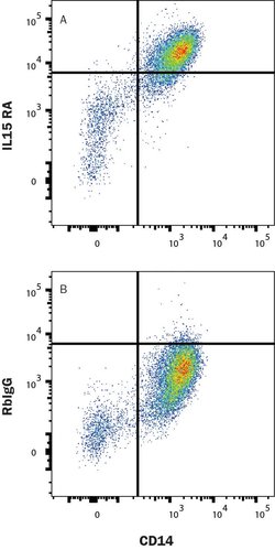 Human IL-15R alpha Antibody, R D Systems 100 &mu;g; Unconjugated:Antikroppar