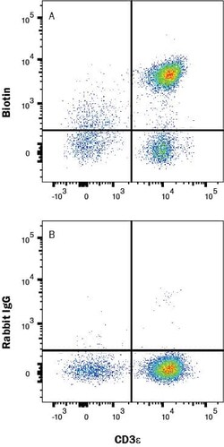 Biotin Antibody, R D Systems 25 &mu;g; Unconjugated:Antibodies, Monoclonal