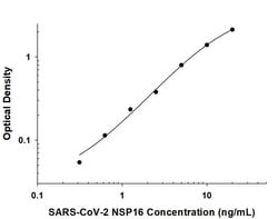SARS-CoV-2 NSP16 Antibody, R D Systems 100 &mu;g; Unconjugated:Antibodies,