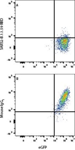 SARS-CoV-2 B.1.1.529 (Omicron BA.1) RBD Antibody, Novus Biologicals 25