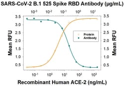 SARS-CoV-2 Spike RBD Antibody, R D Systems:Antibodies:Primary Antibodies