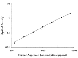 Human Aggrecan Antibody, R D Systems 100 &mu;g; Unconjugated:Antibodies,