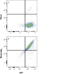 Human PD-L2/B7-DC Antibody, R D Systems:Antibodies:Primary Antibodies