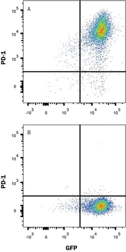Human PD-1 (Research Grade Pembrolizumab Biosimilar) Antibody, R D Systems:Antibodies:Primary