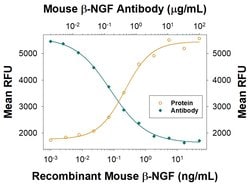 Mouse beta-NGF Antibody, R D Systems:Antibodies:Primary Antibodies