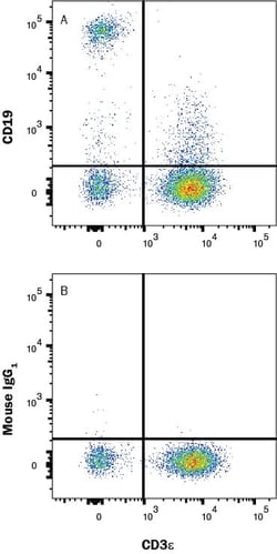 Human CD19 Antibody, R&D Systems™